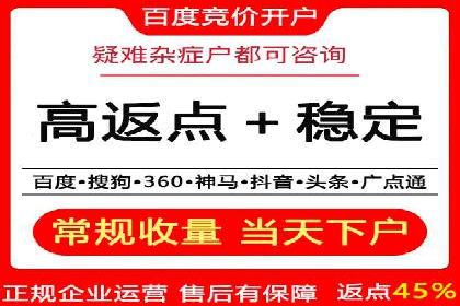SEM服务公司经典案例集锦